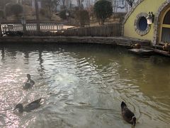 -南宫五洲植物乐园