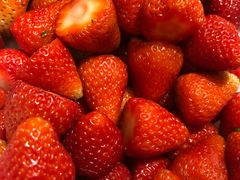 -味餐厅·海鲜·火锅·自助餐