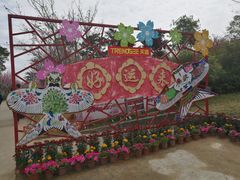 -天适樱花悠乐园