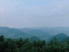-莫干山风景区