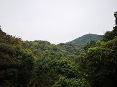 -广州市帽峰山景区