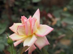 -人民公园(罗湖区)