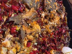 -老板恋上鱼(恒隆广场店)