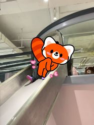 -GooGo乐园长春(长春王府井店)