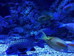 -成都浩海立方海洋公园