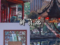 -上海醉白池公园