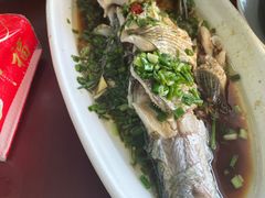 -宾湖农庄·农场特色(太湖龙之梦店)