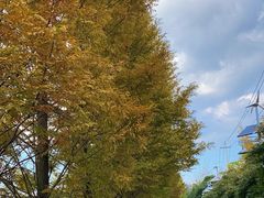 -贵阳市花溪国家城市湿地公园