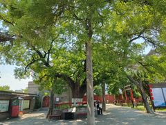 -洛阳周公庙博物馆