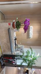 -曼都发型·臻选