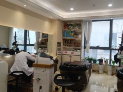 -碧莲盛·不剃发植发