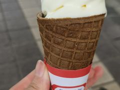 -富豪雪糕车流动点(尖沙咀店)