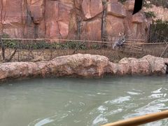 -郑州银基国际旅游度假区