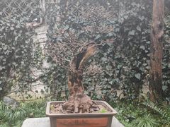 -惠山古镇·寄畅园