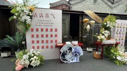 -北京燕尔婚礼策划