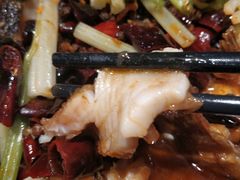 -老板恋上鱼(高新万达店)
