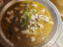 -偶屋里钵少爷(时代广场店)