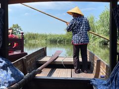 -溱湖国家湿地公园