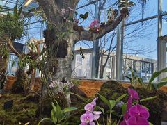 -国家植物园南园