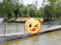 -杨柳青庄园
