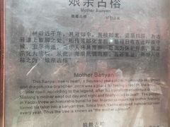 -尧坝古镇