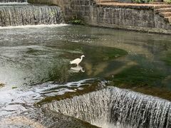 -叠水河瀑布