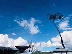 -云端彼岸马场