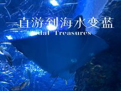 -海合安成都极地海洋公园