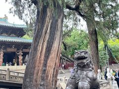 -晋祠博物馆