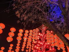 -中华郡文化旅游景区
