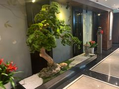 -欣悦府(城建大厦C座店)