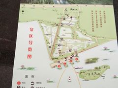 景区游览图-微山湖红荷湿地景区