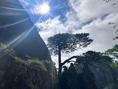 -黄山风景区