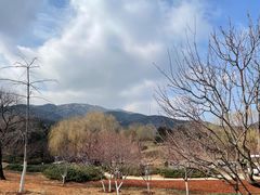 -北京西山国家森林公园