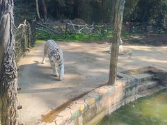-贵州森林野生动物园