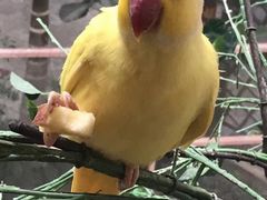 -南宫五洲植物乐园