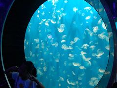 -成都浩海立方海洋公园