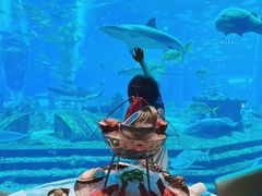 -亚特兰蒂斯•OSSIANO奥西亚诺海底餐厅