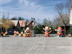 -南宫五洲植物乐园