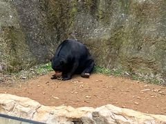 -杭州野生动物世界
