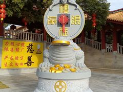-仙岳公园