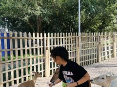 -水上乐园·欢乐世界