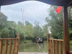 -溱湖国家湿地公园