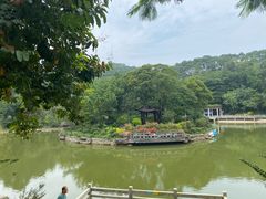 -广州市帽峰山景区