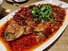 四孔鲤鱼-大张烙馍村(泉山店)