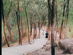 -榴花公园