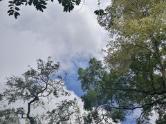 -九龙公园