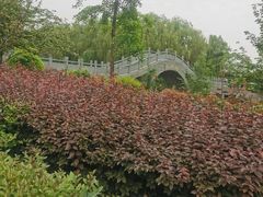 -西安汉城湖景区