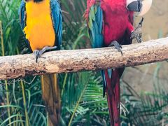 -杭州开元森泊度假乐园