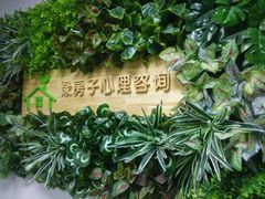 -绿房子心理咨询